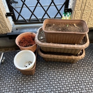 プランターを差し上げます。の画像