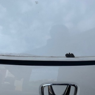 CR-Z α 車検長いの画像