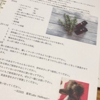 ハーブのある暮らし🌿、わんこハーブ講座開催中の画像