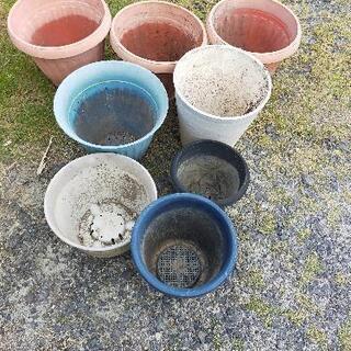 植木鉢(プラスチック)の画像