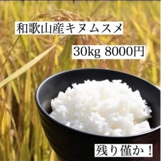 新米🌾　キヌムスメ30kg