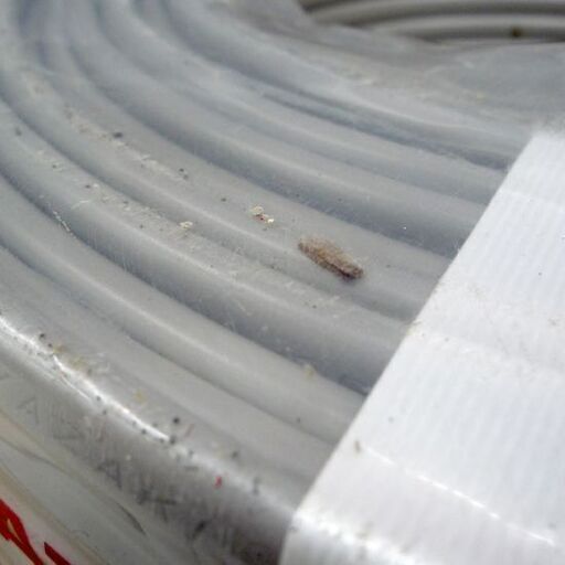 未使用保管品 YAZAKI VVFケーブル VVF(PbF) 2×2.0mm 長さ100m 灰 JIS C 3342 20年5月製 電力用ケーブル 矢崎 苫小牧西店