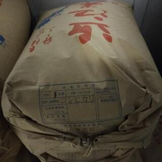 新米30kgキヌヒカリ！令和6年産玄米です!