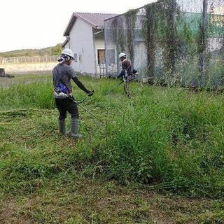 草刈り土木作業員緊急大募集‼️　高収入‼️　未経験者大歓迎‼️の画像