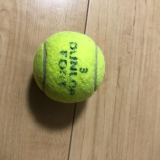 現金でお願いします。テニス用具3点セット🎾ラケット入れとテニスボールは中古ですが、ラケットは新品未使用品です✨の画像