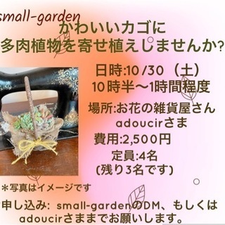 多肉植物寄せ植えワークショップ