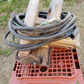 まるのこ①の画像