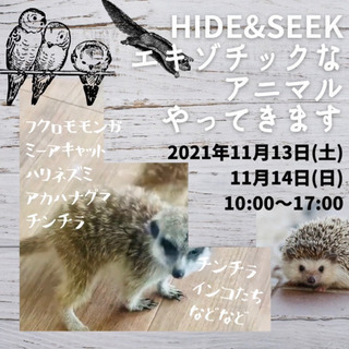 珍しいいきものに出会える！