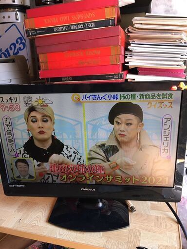 液晶 テレビ デジタルハイビジョン CANDELA CPEV19WDE3 液晶テレビ カラーテレビ 本体のみ