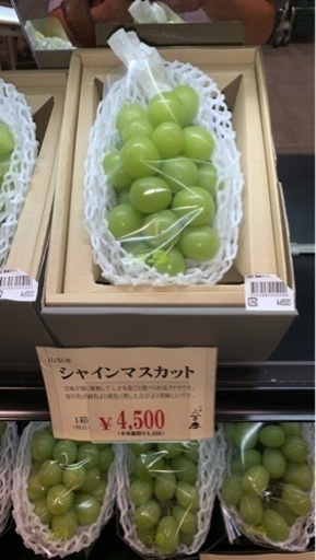 山梨県勝沼産【産地直送】超巨大‼️3袋〜セット・完熟期のシャインマスカット！