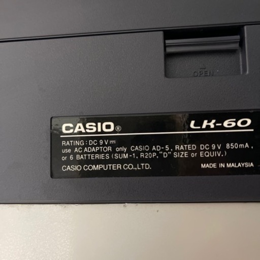 CASIO 電子オルガン