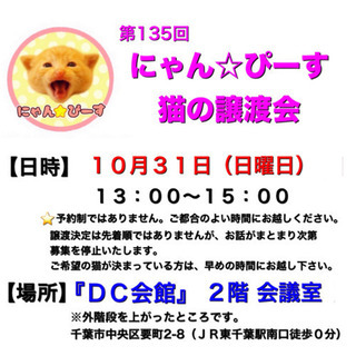 10月31日(日)🌸にゃん☆ぴーす猫の譲渡会🌸「DC会館」JR東...