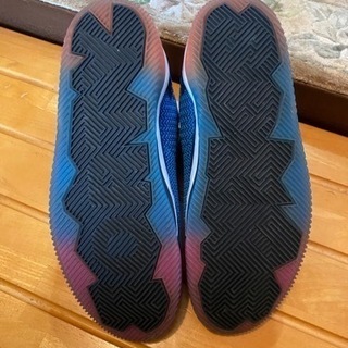 AIR JORDAN SPYKE FORTY(値下げ)の画像