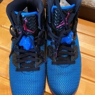 AIR JORDAN SPYKE FORTY(値下げ)の画像
