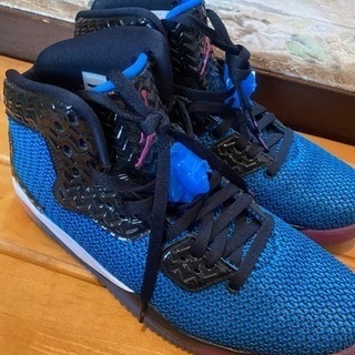 AIR JORDAN SPYKE FORTY(値下げ)