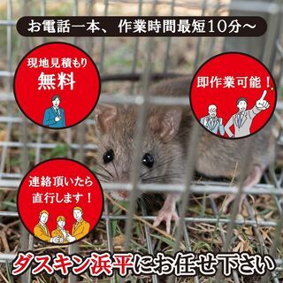 ネズミ駆除・防除