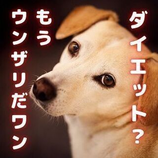 無理なダイエットで心と身体がボロボロになる前に！10kg痩せる波...
