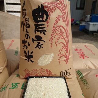 【訳あり】新米 中米極レア品種 新潟県産コシヒカリ100% 従来...