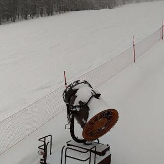テクニカルメンバー募集