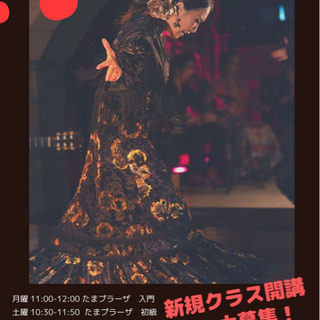 フラメンコ☆土曜【たまプラーザ・市が尾】体験レッスン