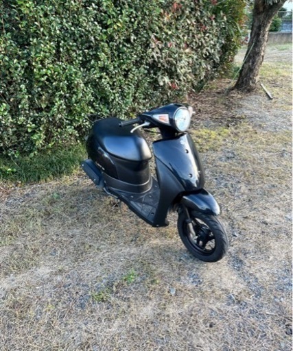 51.  スズキ　レッツ　現行型　原付　バイク　50cc   車体