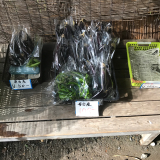 桜の原谷苑(村岩農園) 無人野菜売り場 - その他