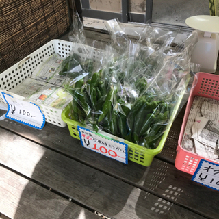 桜の原谷苑(村岩農園) 無人野菜売り場 − 京都府