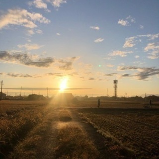 散歩だいすきな人達集合🚶‍♀️ - 友達