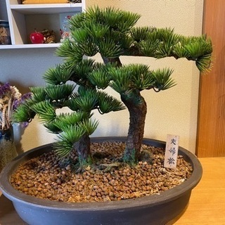 夫婦松造花🌳
