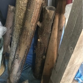 梨の木　幹　廃材