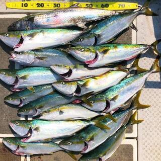 釣り仲間募集中✨ − 広島県