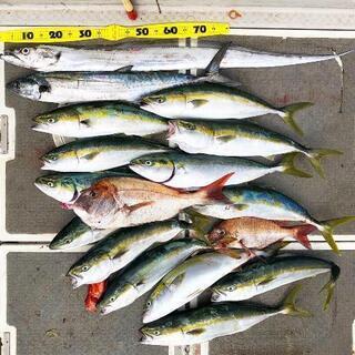 釣り仲間募集中✨ - 友達