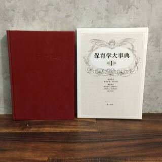 ⭕⭕⭕PH1/21　第一法規 保育学大事典 全3巻 保育学のすべての領域を始めて体系化総合辞典！ 岡田正章 平井信義⭕⭕⭕の画像