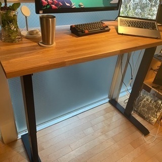 FLEXISPOT スタンディングデスク 昇降デスク EF1B