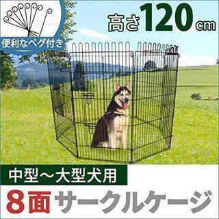10月27日朝まで、大型犬用のサークル　ゲージ