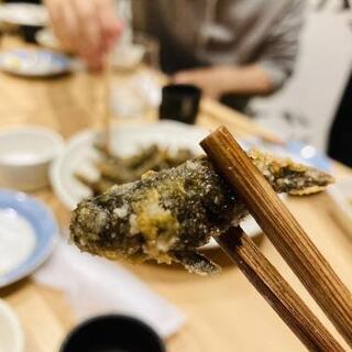 美味ハゼ獲り体験開催！！！　めっちゃ美味し楽しいですよ～！ - 台東区