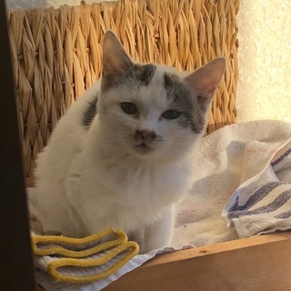 人懐っこいおチビちゃん