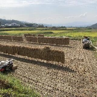 令和3年度産　上田市真田町産　コシヒカリ30kg