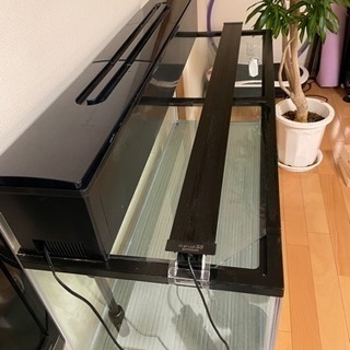 #120cm水槽　ことぶきKOTOBUKI  水槽台の画像