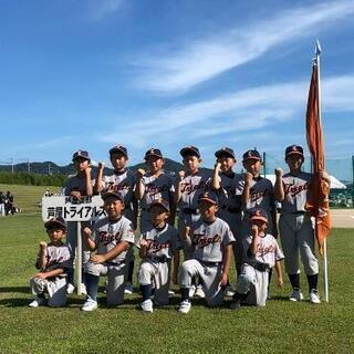 学童野球メンバー募集‼️
