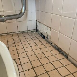 トイレのタイル修繕の画像