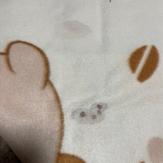 ⭐️【中古】プーさんの薄めの膝掛けの画像