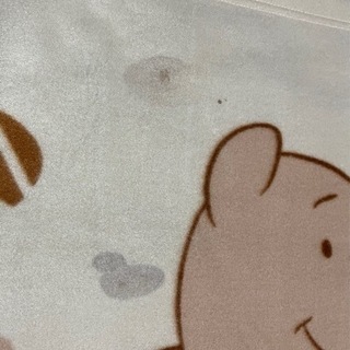 ⭐️【中古】プーさんの薄めの膝掛けの画像