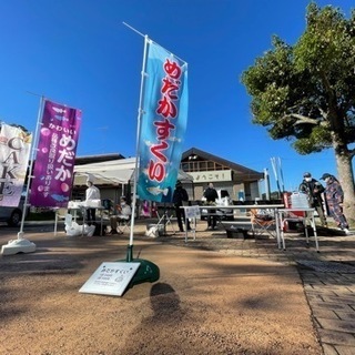 情報更新！メダカすくいあり！10/30 （土）鶴巻温泉駅前朝市情報