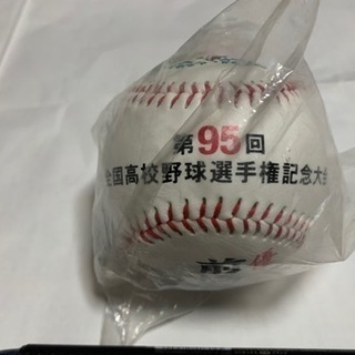 全国高校野球選手権記念大会、野球ボール