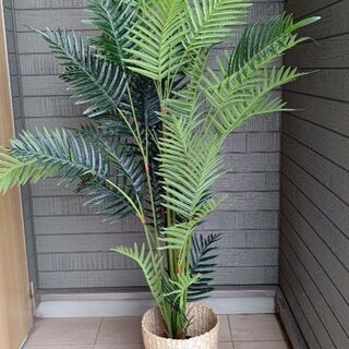 フェイクグリーン 160