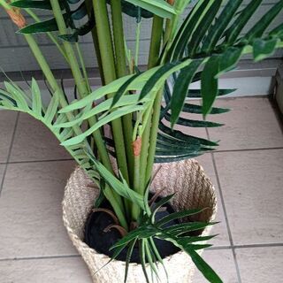 フェイクグリーン 160の画像