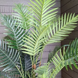 フェイクグリーン 160の画像