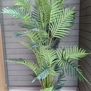 フェイクグリーン 160の画像