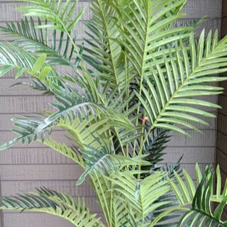 フェイクグリーン 160の画像